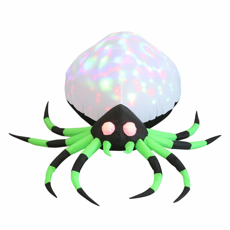 Colorful spider